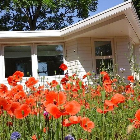 Het Findament Tiny House Villa Hilversum Eksteriør bilde