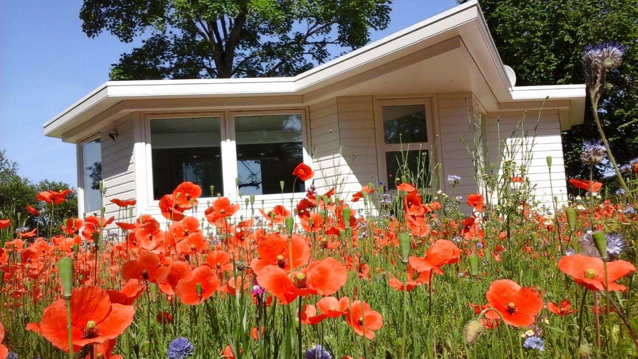 Het Findament Tiny House Villa Hilversum Eksteriør bilde